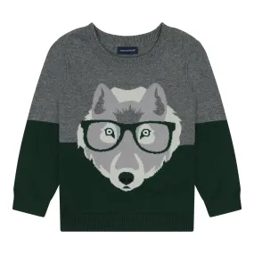 Boys Graphic Print Sweater