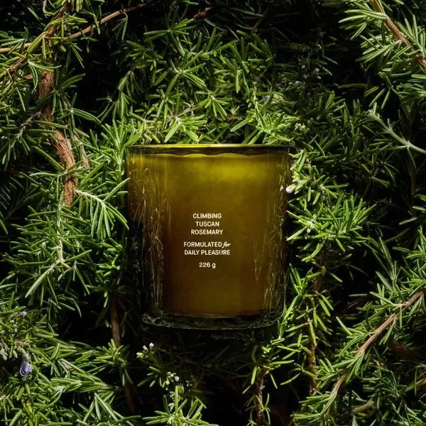 Climbing Tuscan Rosemary Candle