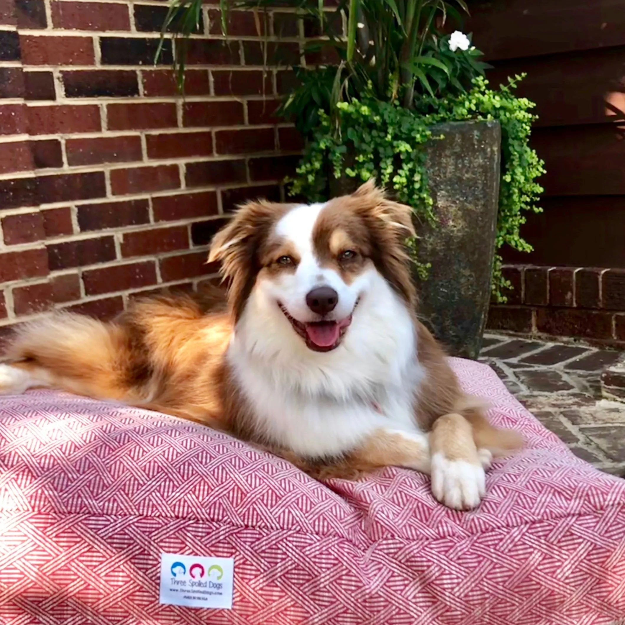 Lattice Collection Dog Beds with Embroidered Name