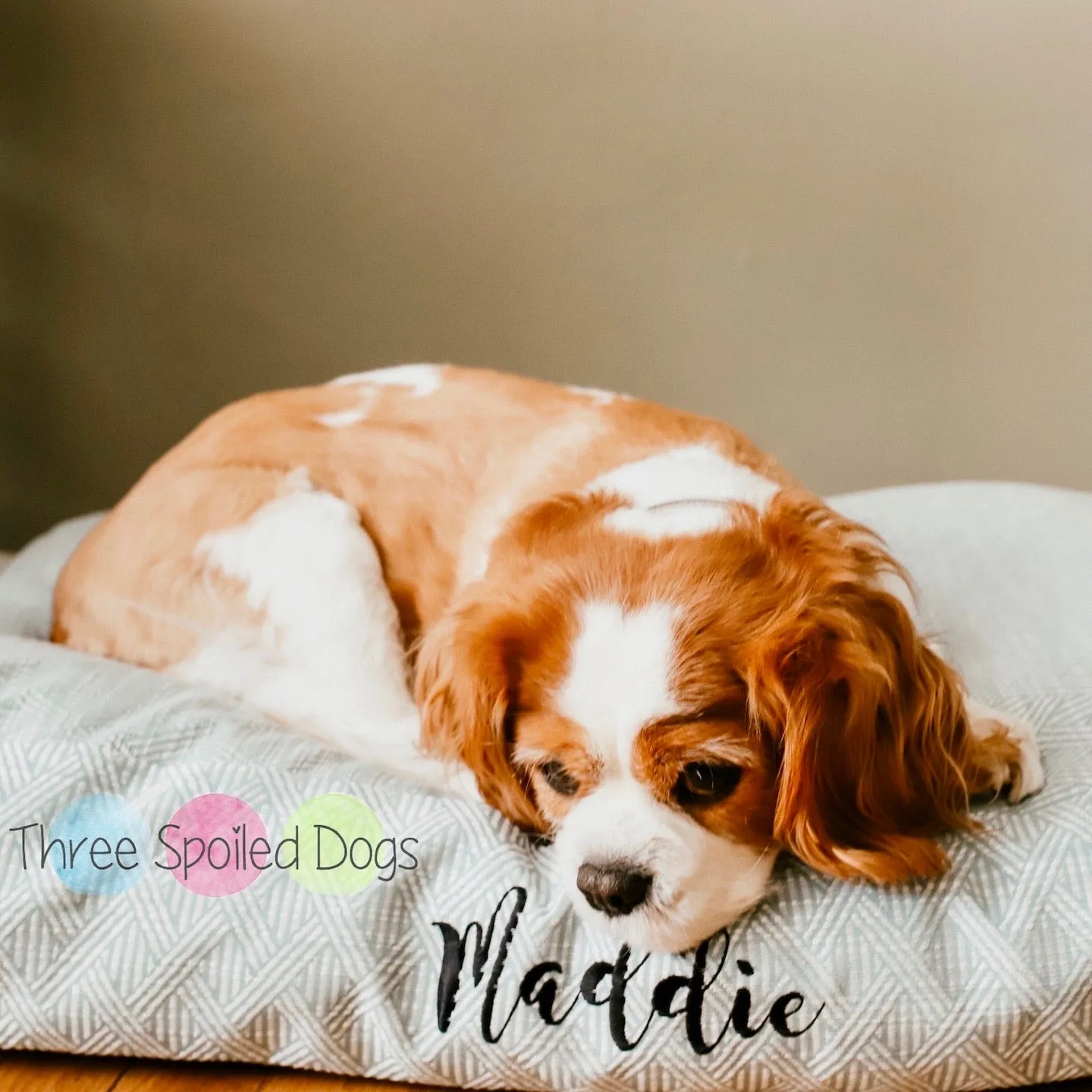 Lattice Collection Dog Beds with Embroidered Name