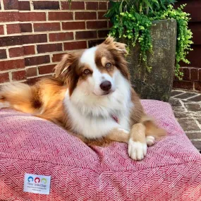 Lattice Collection Dog Beds with Embroidered Name