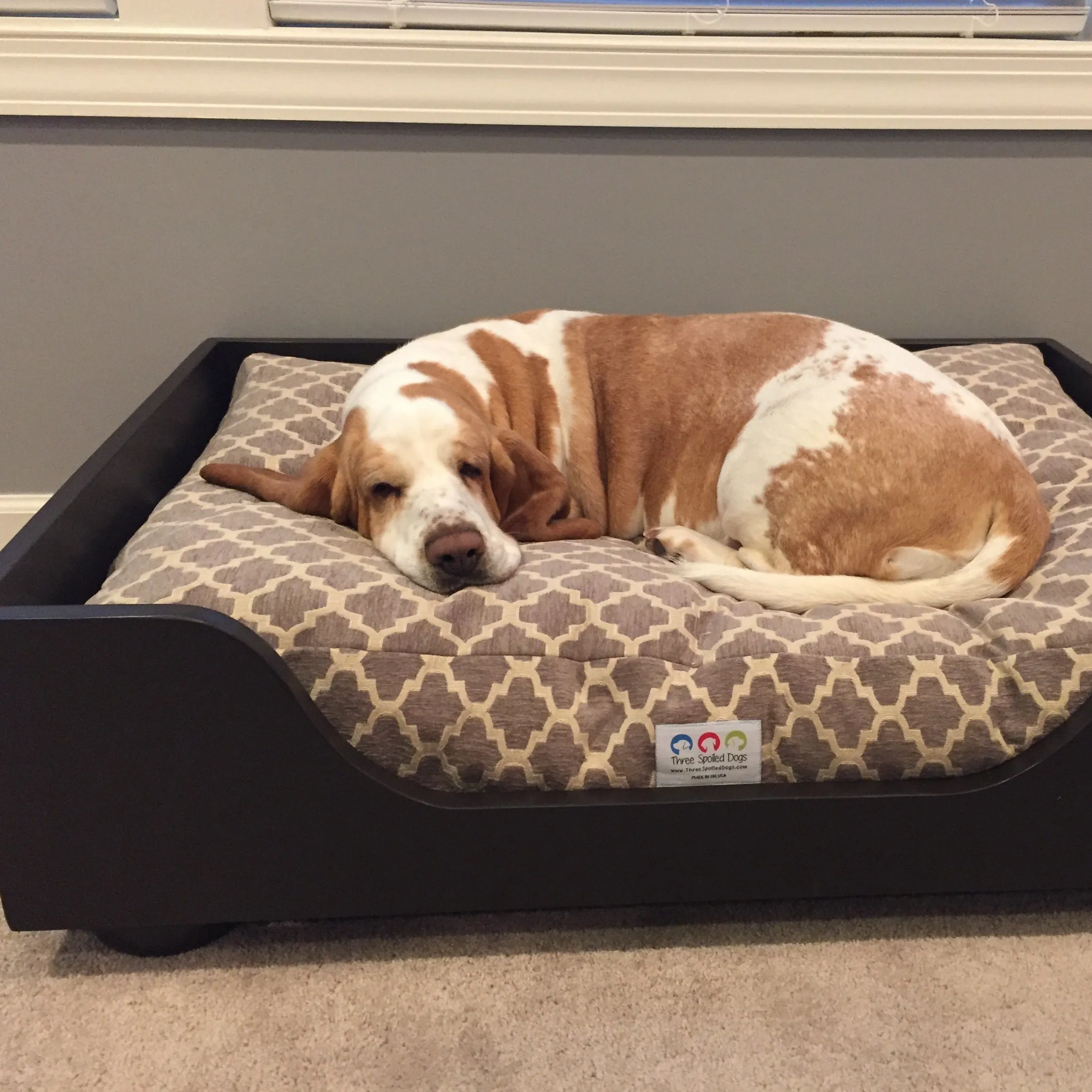 Luxury Elevated Dog Beds as Seen in Southern Living with Free Shipping